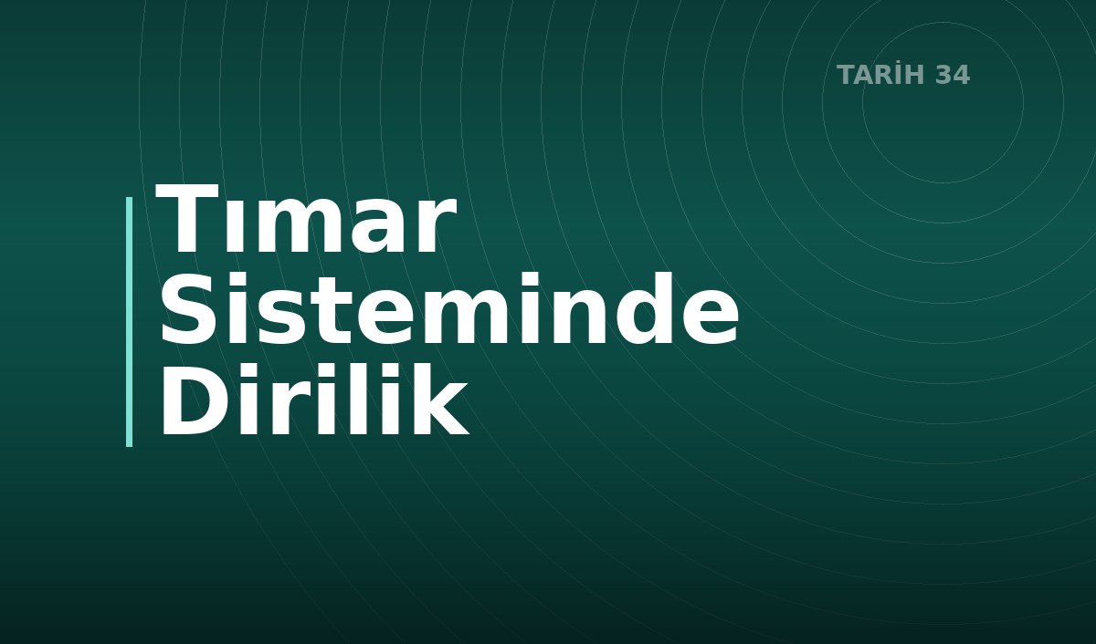 Tımar Sisteminde Dirilik