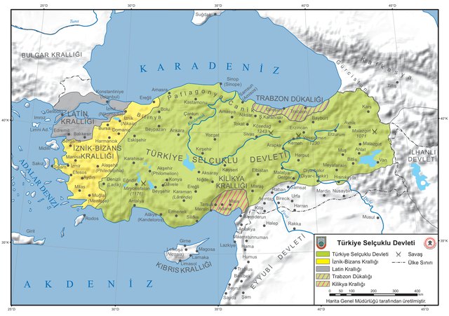 Türkiye Selçuklu Devleti
