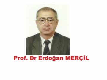 Prof. Dr. Erdoan Meril
