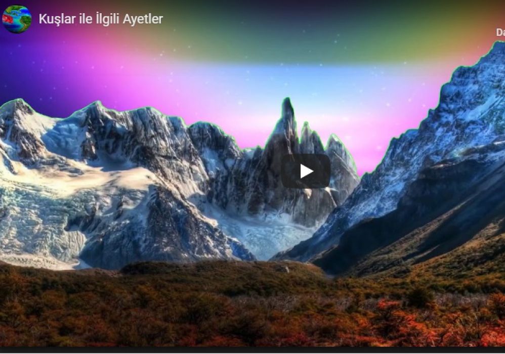 Kuşlar İle İlgili Ayetler