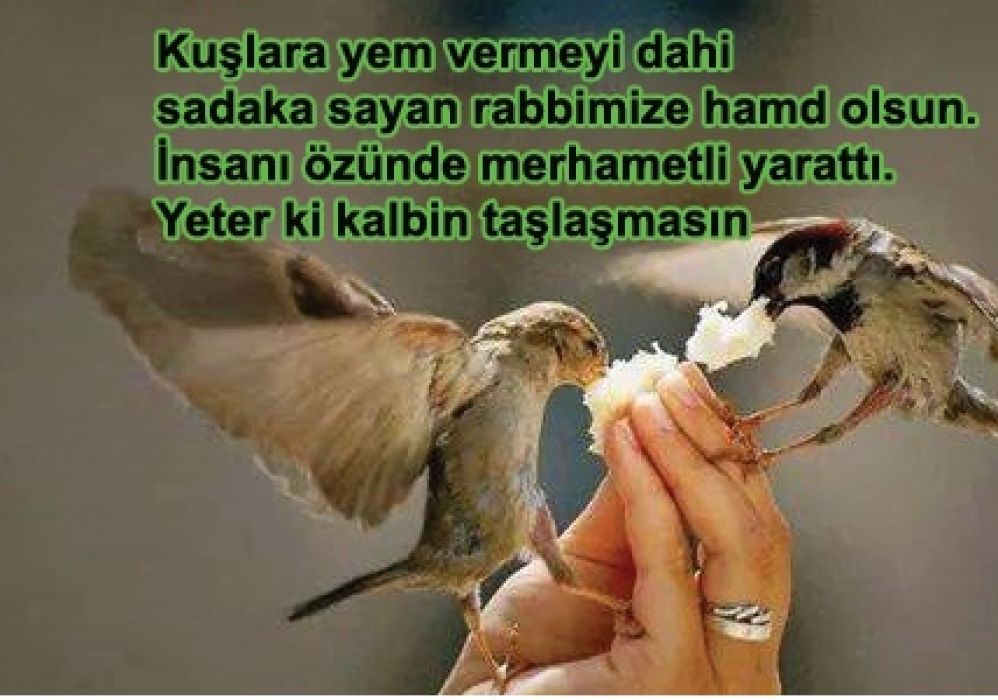 Sadaka Vermenin Önemi