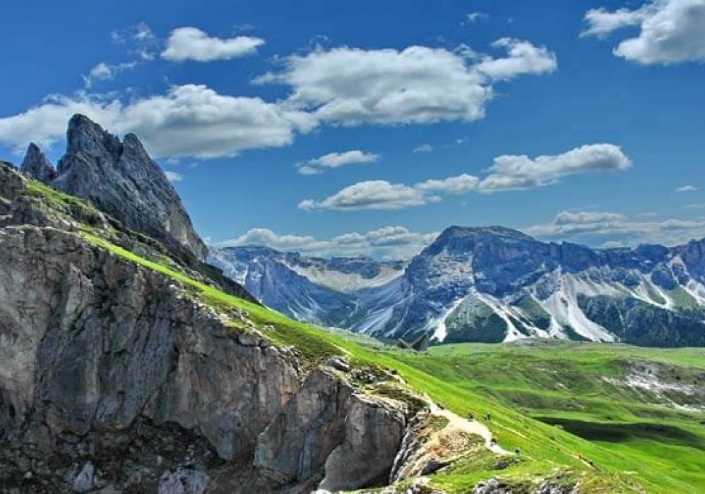 Alplerdeki Yaşam Öyküsü (Kurtlar ve Geyikler Belgeseli)