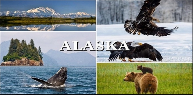 Alaska