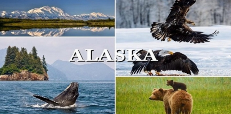 Alaska