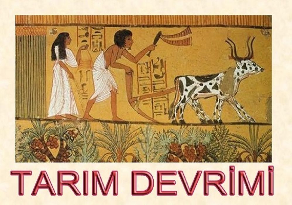 Tarım Devrimi ve Yerleşik Hayata Geçiş
