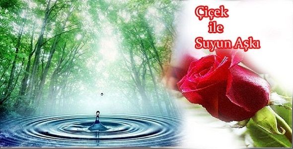 Çiçek'in Suya Olan Aşkı